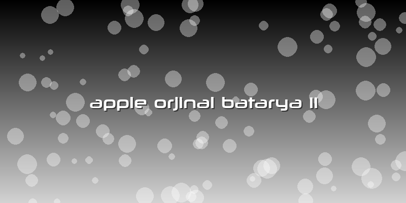 Apple Orjinal Batarya 11